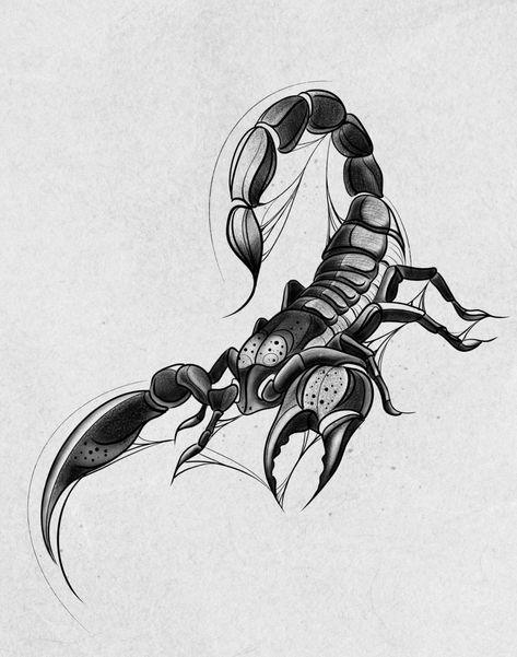 Scorpio Symbol Aesthetic, Two Scorpions Tattoo, Blackwork Scorpion Tattoo, Scorpion Finger Tattoo, Scorpion Drawing Sketches, Scorpio Sketch, Scorpion Tattoo Stencil, Black Scorpion Tattoo, Scorpio Drawing