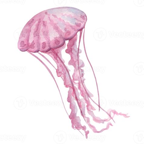 Pink Jellyfish Widget, Pink Jellyfish Painting, Jellyfish Widget Icon, Pink Jellyfish Icon, Cute Icons White Background, Jellyfish White Background, Pink Icons White Background, Cute Pink Drawings, Light Pink Png