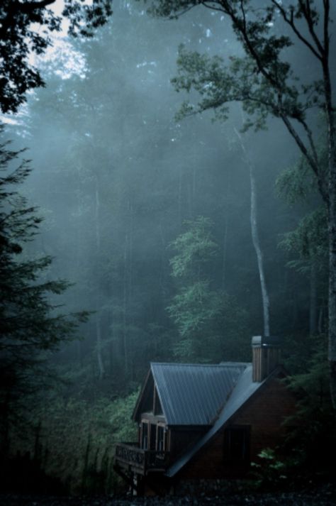 Nature, Cabin In The Forest Aesthetic, Cabin Dark Aesthetic, Cabin In The Woods Aesthetic Dark, Creepy Cottagecore, Cabin In The Woods Aesthetic, Cameron Core, Dark Cabin, Cottage In Woods