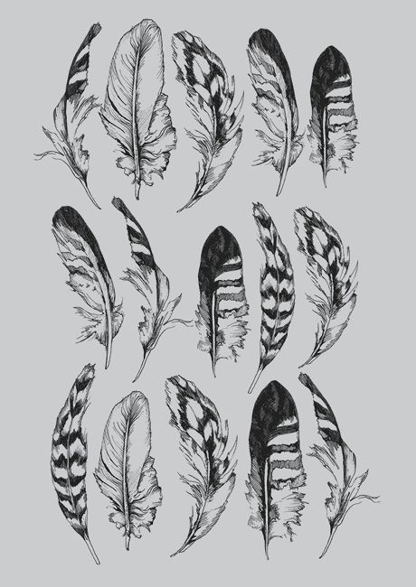 Feather Tattoos, Sketch Animation, Tattoo Traditional, Rayban Sunglasses, Feather Tattoo, Feather Art, Feather Print, Character Design References, Design Reference