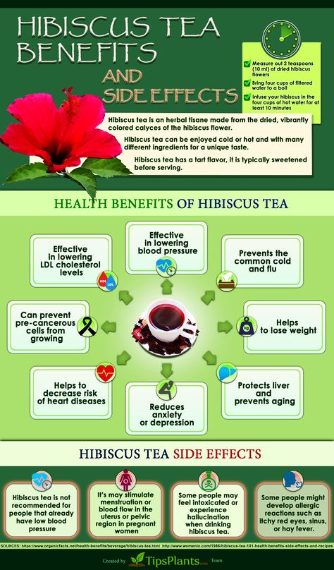 Medicinal Plants, Benefits Of Hibiscus Tea, Benefits Of Hibiscus, Hibiscus Tea Benefits, Coconut Health Benefits, Benefits Of Coconut Oil, Hibiscus Tea, Tea Benefits, Back To Nature