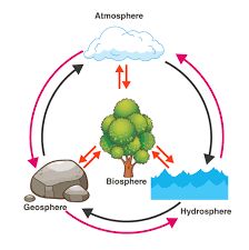 What is Biosphere? - Definition, Resources with Examples & Images 4 Subsystems Of The Earth, Subsystems Of The Earth, Earth Drawing Simple, Biosphere Ecosystem, Earths Spheres, The Earth Drawing, Earth Systems, Earth Drawing, Earth's Spheres