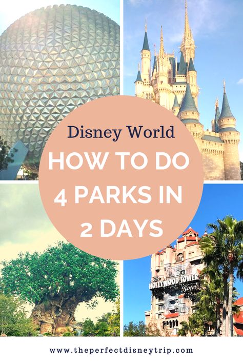 3 Days At Disney World, 4 Days At Disney World, 2 Day Disney World Itinerary, Disney World Parks Orlando, Disney Park Itinerary, 2 Days At Disney World, Disneyworld 2023, Disney World Itinerary, Disney Trip Surprise