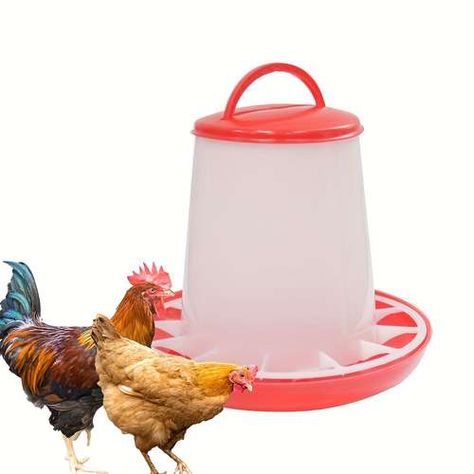 Duck Feeder, Chicken Water Feeder, Automatic Chicken Feeder, Duck Feed, Chicken Bucket, Chicken Coloring, Poultry Feeders, Poultry Supplies, Livestock Farming