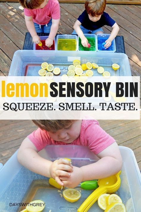 5 Senses Activities, Senses Preschool, Sensory Tubs, Senses Activities, Diy Montessori, Sensory Activities Toddlers, Toddler Classroom, Sensory Activity, Toddler Sensory