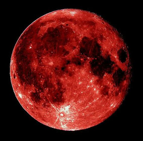 Blood Moon Eclipse Blood Moon Eclipse, Marshmello Wallpapers, Red Rising, Shoot The Moon, Moon Eclipse, Moon Pictures, Bloodborne, Red Moon, Images Esthétiques