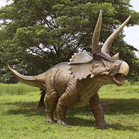 Massive Lifesize Charging Triceratops Dinosaur Statue Dinosaur Statue, Dinosaur Garden, Giant Dinosaur, Triceratops Dinosaur, Outdoor Garden Statues, Dinosaur Pictures, Baby Dinosaurs, Extinct Animals, Bd Comics