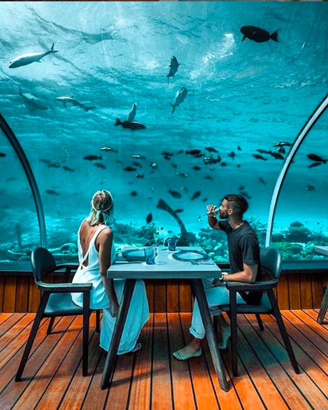 Honeymoon Destinations, Maldives Honeymoon Package, Underwater Hotel, Underwater Restaurant, Maldives Honeymoon, Maldives Travel, Honeymoon Packages, Modern Restaurant, Beautiful Hotels