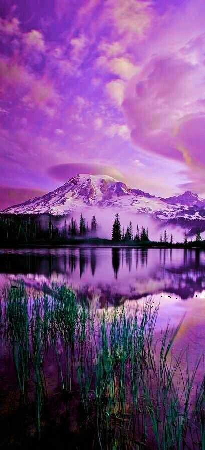 Purple Mountain Majesty.Have always "heard" those words, but actually never knew what they meant until, I saw a Sunset in the Beautiful State of Montana. Chiaroscuro, Amazing Nature, Landscaping Ideas, Cer Nocturn, Matka Natura, Rainier National Park, Pretty Places, Belle Photo, Beautiful World