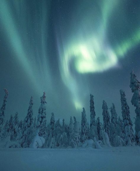 Northern Lights, Travel Northern Lights, Polar Light, His Dark Materials, Nordic Lights, Pretty Sky, Fantasy Aesthetic, Winter Aesthetic, Doja Cat