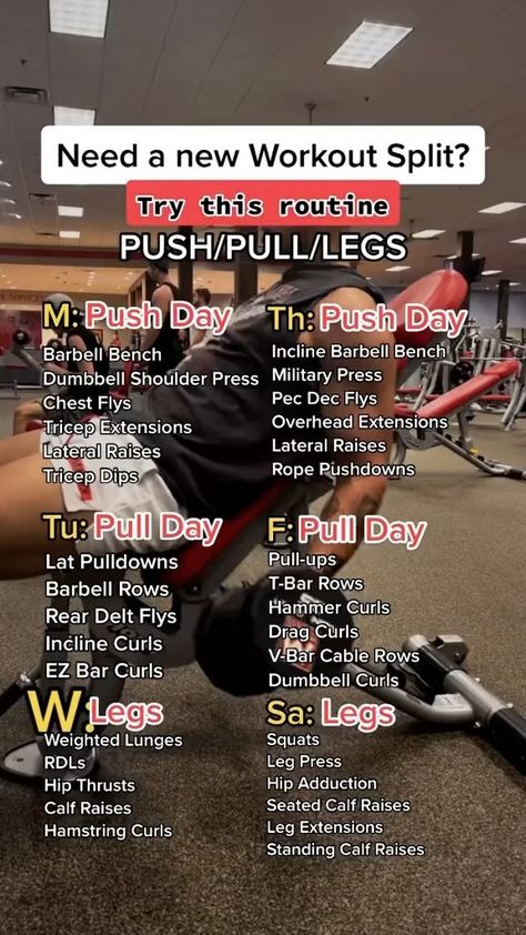 Legs Push Pull Routine, Womens Push Pull Workout, 5 Day Push Pull Legs Workout, Push Pull Workout Routine At Home, Twice A Day Workout Plan, Push Pull Leg Dumbbell Workout, Push Pull Legs Workout Women, Work Out Splits For Women, Pull Push Workout Plan