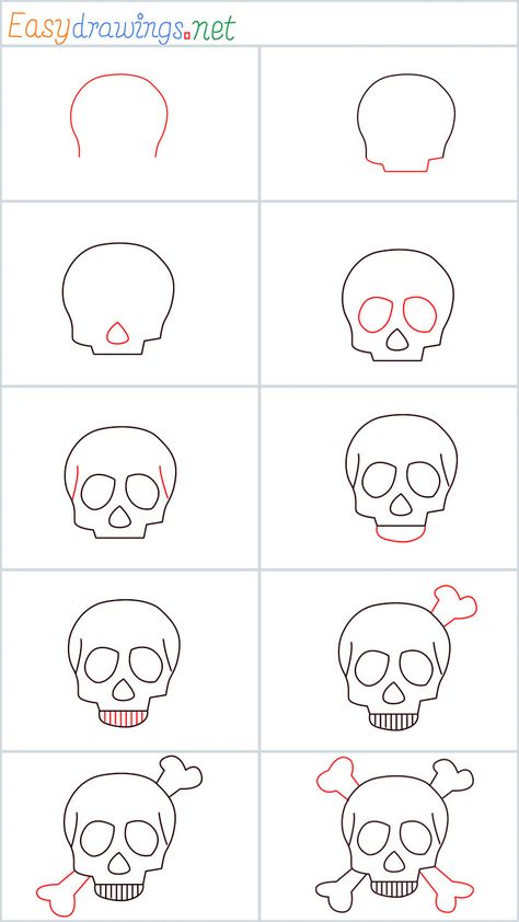 How to draw a Skull step by step - [10 Easy Phase] Simple Skull Drawing, Skull Easy, Skull Tutorial, Drawing Tutorial Step By Step, Draw A Skull, Easy Halloween Drawings, Easy Skull Drawings, Skull Coloring, Cool Easy Drawings