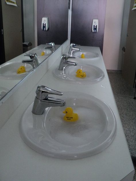 Gummienten in den Waschbecken Humour, Nice Pranks, Funny Senior Pranks, Senior Year Pranks, Best Senior Pranks, High School Pranks, College Pranks, Work Pranks, Senior Prank