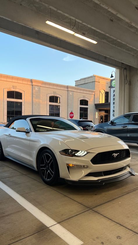 Mustang S550, Mustang Gt500, Ford Mustang Convertible, Ford Mustang Car, Lux Cars, Mustang Convertible, Mustang Cars, Classy Cars, Pretty Cars