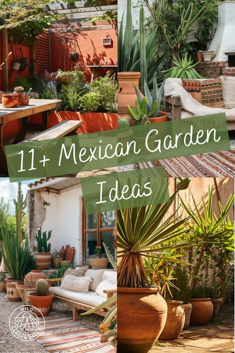 Whether you’re a fan of Mexican culture or just want a vibrant garden, adding Mexican elements is a great way to stand out. This guide will cover some key Mexican style garden ideas, helping you create your own enchanting space.

Mexican-style gardens, known for their relaxed, rustic charm, are gaining popularity. They feature bold colours, natural materials, and a festive atmosphere, transforming any outdoor space. Mexican Hacienda Garden, Hacienda Style Patio, Small Mexican House, Mexican Garden Hacienda Style, Mexican Garden Ideas, Mexican Elements, Mexican Backyard, Relaxed Rustic, Mexican Garden