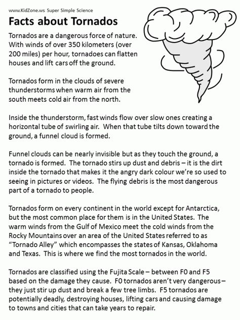 Easy Tornado In A Bottle Experiment - Mom Insane Fit 6th Grade Science, Tornado In A Bottle, Weather Science, Weather Theme, 4th Grade Science, Weather Activities, English Worksheets, Weather And Climate, Educational Worksheets