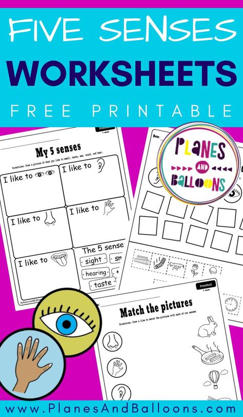 Free printable five senses worksheets for preschool and kindergarten. My five senses activities cut and paste. #prek #kindergarten #planesandballoons Preschool Five Senses Activities, Five Senses Activities For Kindergarten, Five Senses Activities For Preschoolers, My Five Senses Activities, 5 Senses Activities For Preschoolers, Five Senses Kindergarten, Five Senses Activities, 5 Senses Preschool, Prek Worksheets