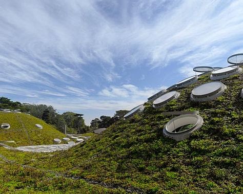 By Clifford A. Pearson Renzo Piano calls his new building for the California Academy of Sciences a “soft machine.” “It soun... Site Plans, Renzo Piano, Science Sans, San Francisco Travel Guide, California Academy Of Sciences, New Building, Golden Gate Park, San Francisco Travel, Diagram Architecture