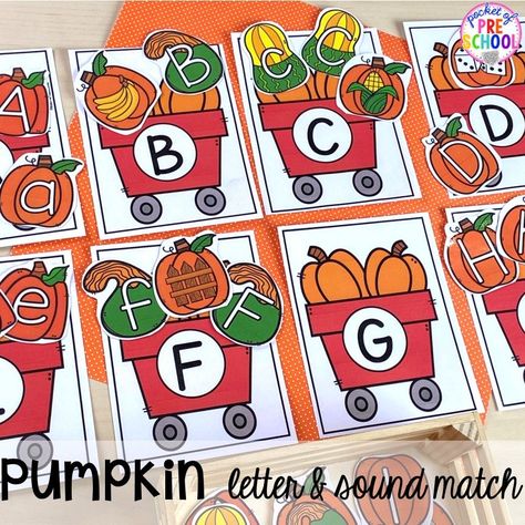 Pumpkin Activities For Preschool, Autumn Themed Activities, Pumpkin Math, Pocket Of Preschool, Pumpkin Unit, Halloween Themed Activities, Painting Station, Pumpkin Books, Pumpkin Activities