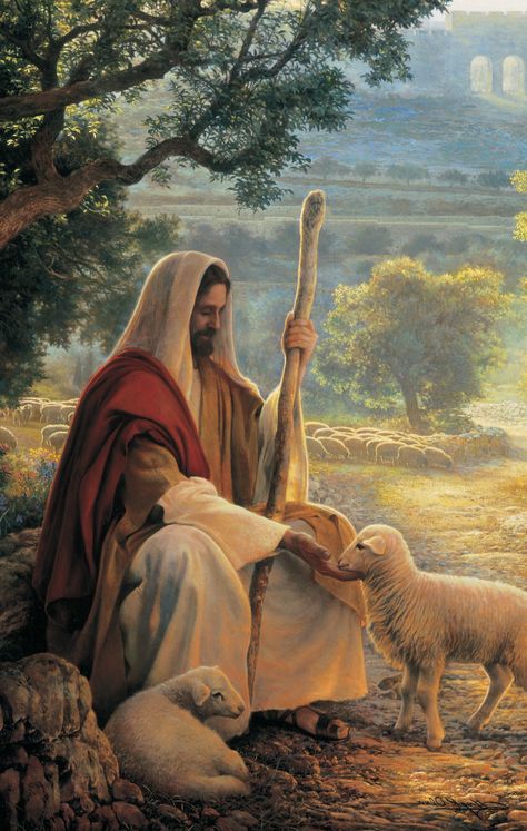 Chapter 20: ‘Feed My Sheep’ Feed My Sheep, Jesus Artwork, Jesus Christ Painting, Jesus Christ Artwork, Pictures Of Christ, Jesus And Mary Pictures, Jesus Photo, Jesus Christ Art, Jesus Wallpaper