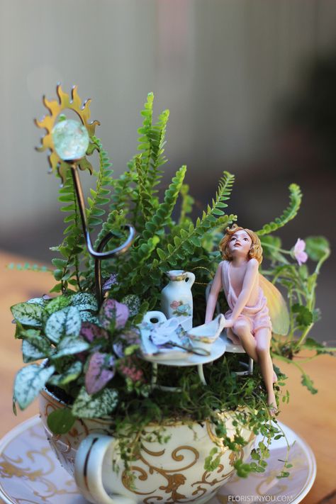 Indoor Fairy Garden Ideas, Jasmine Fairy, Teacup Ideas, Fairy Teacup Garden, Lights Drawing, Fairy Teacup, Drawing Party, James Coleman, Indoor Fairy Garden