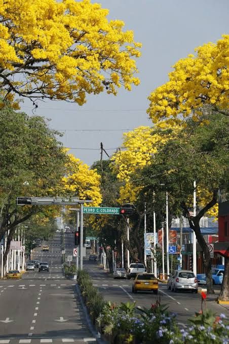 Mexico City, Nature, Latin America, Tabasco Mexico, Dibujos Aesthetic, The Shah Of Iran, La Rochelle, Central America, Ghana