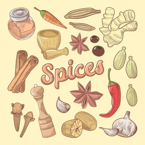 Spices hand drawn doodle with chili pepp... | Premium Vector #Freepik #vector #food #hand #leaf #kitchen Sewing Pillows Ideas, Decoupage Paper Free, Spice Logo, Woodland Illustration, Chocolate Lemon, Food Vector, Food Doodles, Cat Calendar, Food Illustration Art