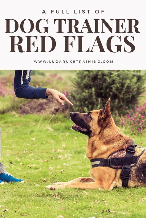 Dog Training Obedience with Lili How To Become A Dog Trainer, Dog Trainer Quotes, Dog Trainer Outfit, Dog Trainer Aesthetic, Dog Breeders Kennels, Leash Training Puppy, Trainer Red, Puppy Training Schedule, Kennel Ideas