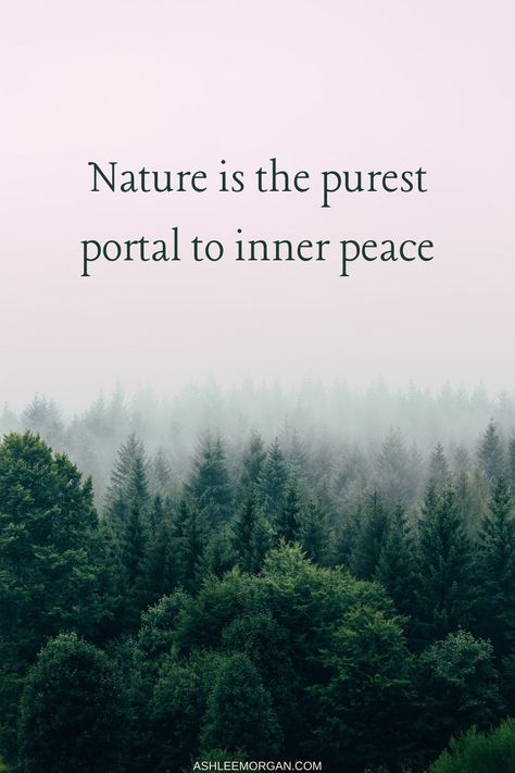Nature, Regional, Instagram Nature Captions, Save Nature Quotes, Natural Healing Quotes, Love Nature Quotes, Nature Captions, Nature Quotes Beautiful, Forest Quotes