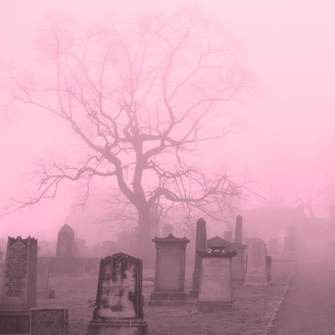 Pastel Creepy Art, Pink And Black Pfp Aesthetic, Creepy Core Pink, Pink Goth Wallpaper, Creepy Cute Core, Pink Vampire Aesthetic, Pink Astethic, Yanderecore Aesthetic, Dark Kawaii Aesthetic