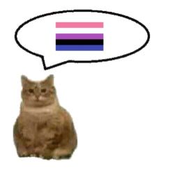 genderfluid Gender Fluid Wallpaper, Genderfluid Aesthetic, Gender Fluid Flag, Genderfluid Flag, Genderfluid Pride, Bisexual Flag, Gay Humor, Gay Memes, Pinterest Memes