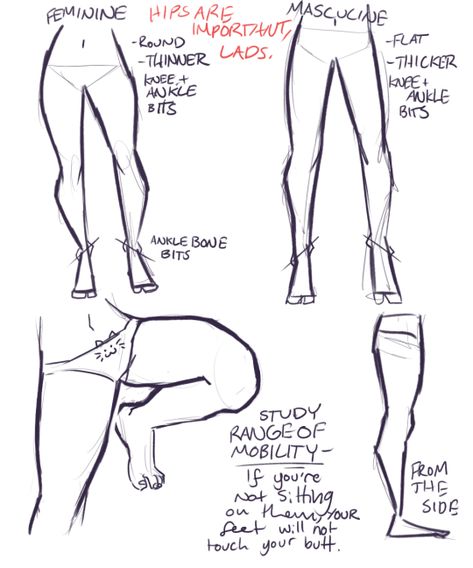 Leg Reference, Drawing Legs, Female Legs, Anatomy Sketches, Poses References, Anatomy Drawing, Figure Drawing Reference, Anatomy Reference, Anatomy Art
