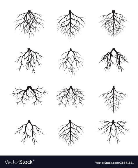 Roots Illustration, Vector Animation, Tree Root, Black Roots, Outline Illustration, Plant Vector, Black Tree, Tree Roots, Vector Shapes