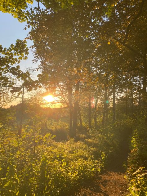 Nature, Summer Weather Aesthetic, Calliope Aesthetic, Warm Weather Aesthetic, Warm Summer Aesthetic, Late Summer Aesthetic, Sunny Day Aesthetic, Girl Walk, Warm Sunset