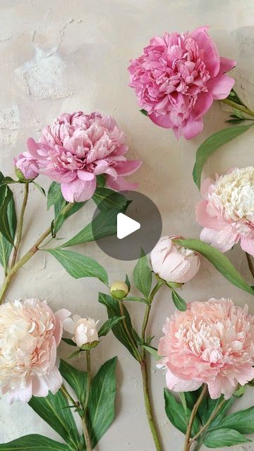 Cristina Ciovarta - ChristinePaperDesign 🌿 on Instagram: "After all this time it's finally here! The peony course is available for purchase!🌸✨

My website has a new face and also a few courses are available, so take a look if you wish... the link is in my bio.

#paperflowers #paperart #crepepaperflowers #paperartist #paperpeony #peony #pinkpeony #madeinpaper #paperflorists #peonylove #handmadepeony #paperpeonycourse #paperpeonytutorial #christinepaperdesign #paperblooms" Diy Peony Paper Flower, Peony Crepe Paper Flower Tutorial, Paper Peony Template, Peony Paper Flower, Bride Basket, Crepe Paper Peony, Paper Peonies Tutorial, Peony Diy, Crepe Paper Flowers Tutorial