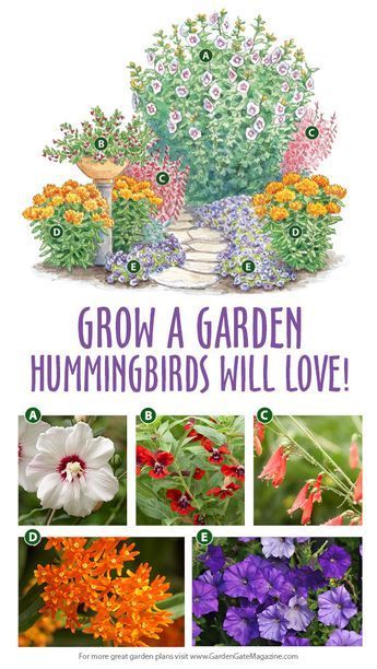 Tattoo Plant, Windowsill Garden, Insect Hotel, Backyard Garden Layout, Hummingbird Flowers, Hummingbird Garden, Garden Wallpaper, Poisonous Plants, Flower Garden Design