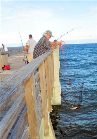 Pier Fishing Basics For Saltwater Fun And Fillets - Union Sportsmen's Alliance Fishing Basics, Bass Fishing Lures, Salt Water Fishing, Fishing Pier, Fly Fishing Tips, Bass Fishing Tips, Fishing Rigs, Fishing Techniques, Crappie Fishing