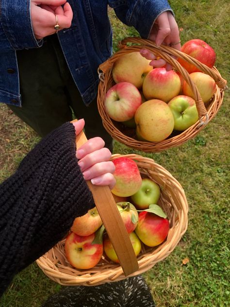 Virginia Fall Aesthetic, Fall Apple Aesthetic, Holiday Activities Aesthetic, Fall Date Ideas Aesthetic, Apple Picking Aesthetic Fall, Fall Day Aesthetic, Apple Picking Date, Apples Aesthetic, Apple Picking Aesthetic