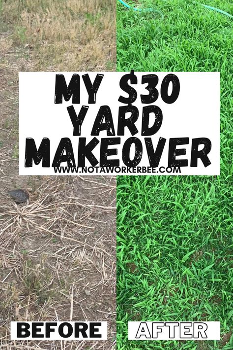 Clean Yard Landscaping, Diy Beginner Landscaping, Cheap Lawn Ideas Front Yards, How To Make Your Yard Look Nice, Yard Work For Beginners, Curb Appeal On A Budget Front Yard Diy, How To Landscape Front Yard On A Budget, Backyard No Grass Ideas Cheap, Cheap And Easy Landscape Ideas