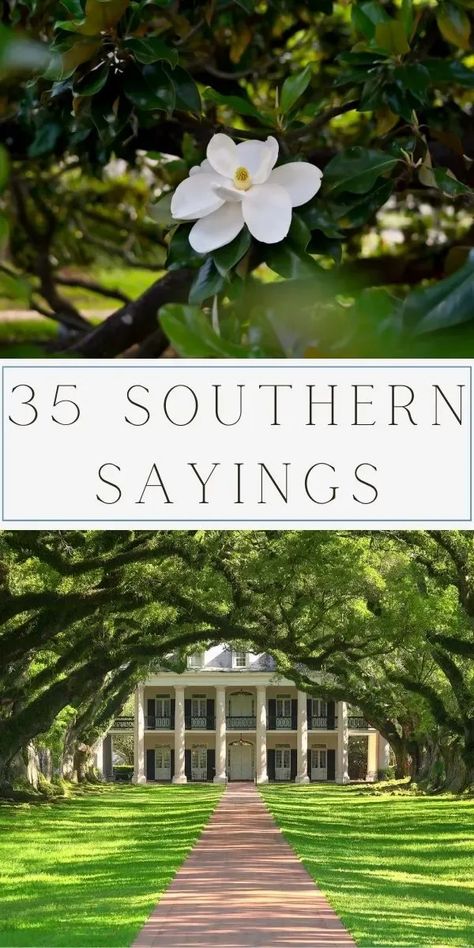 Explore 35 of the best Southern sayings, from timeless phrases to drawlin' proverbs. Savor sweet tea wisdom and Dixie expressions capturing Southern charm. Dive into the rich tapestry of Southern dialect gems, embracing the warmth of folk sayings. Let these quotes add hospitality and grace to your day. Immerse yourself in the soulful world of Southern slang and charm words. Whether a true Southerner or captivated by Dixie language, these expressions bring a smile. Southern Phrases. Things Only Southern People Say, Southern Love Quotes, Southern Hospitality Quotes, Classic Southern Aesthetic, Southern Words And Phrases, Popular Phrases Sayings, Southern Debutante Aesthetic, Southern Charm Party Theme, Old Southern Sayings