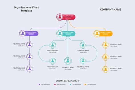 Supply Chain Infographic, Human Resources Infographic, Organizational Chart Design, Business Plan Infographic, Content Infographic, Business Infographic Design, Timeline Infographic Design, Strategy Infographic, Mind Map Template