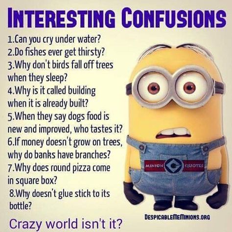 Interesting Confusions minion minions minion quotes minion quotes and sayings Humour, Minions, Minions Language, Confusing Questions, Funny Deep Thoughts, Pick Up Line Jokes, Funny Poems, Moral Stories For Kids, Funny Riddles