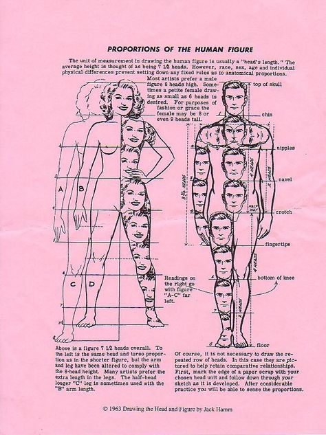 ACCEPTABLE, PROPORTIONAL ANALOGIES [Human beings are the measure of all things] Body Frame Sizes Guide, Human Body Poses, Simple Figure Drawing, Female Body Proportions, Character Proportions, Female Proportions, Human Proportions, Drawing Body Proportions, Draw Human