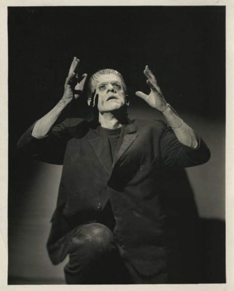 Vintage Hollywood Classics Frankenstein 1931, Hollywood Monsters, Iconic Movie Characters, Classic Monster Movies, Photographs And Memories, Boris Karloff, Retro Horror, Classic Sci Fi, Horror Monsters