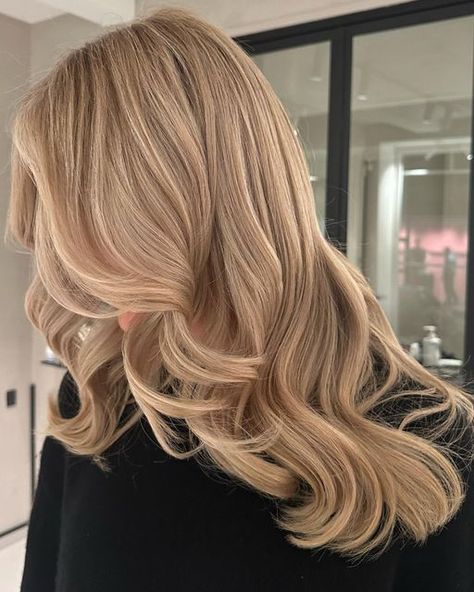 Beige Toned Blonde Hair, Balayage Blond Beige, Light Warm Blonde Hair, Almond Blonde Hair, Warm Blonde Hair Color Honey, Light Honey Blonde Hair, Blonde Hair Dark Eyebrows, Warm Honey Blonde, Sandy Blonde Hair