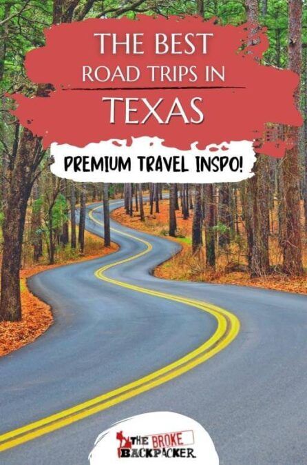 BEST ROAD TRIPS in Texas - EPIC GUIDE for 2022 Texas Road Trips, Texas Vacation Spots, Family Vacations In Texas, Dinosaur Valley State Park, Explore Texas, Texas State Parks, Guadalupe Mountains National Park, Texas Destinations, Travel Texas