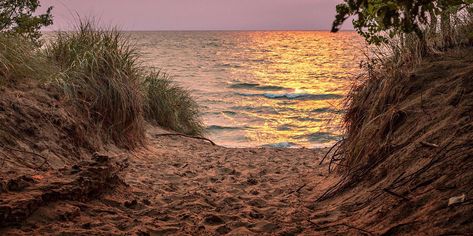 Fall Getaway to Saugatuck, Michigan | Midwest Living Fennville Michigan, Michigan Beach Towns, Michigan Bucket List, Saugatuck Michigan, Isle Royale National Park, Michigan Beaches, Fall Getaways, The Great Lakes, Mackinac Island