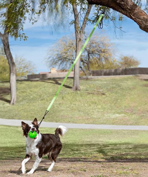 Diy Outside Dog Toys, Dog Play Equipment, Outdoor Dog Playground, Diy Dog Toys For Heavy Chewers, Dog Playground Backyard, Dog Park Ideas, Dog Backyard Playground, Pet Friendly Backyard, Dog Tether