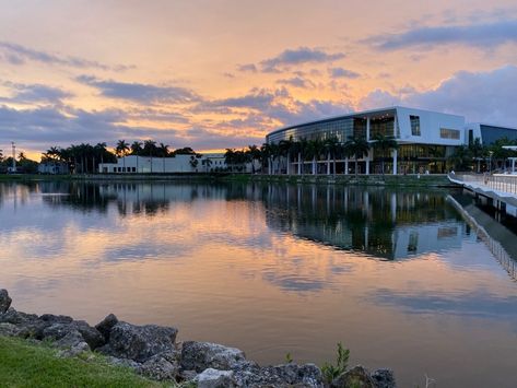 University Of Miami Campus, Miami Summer, Miami Sunset, Colleges In Florida, Moving To Miami, Dream College, Dream School, Best University, Sky View