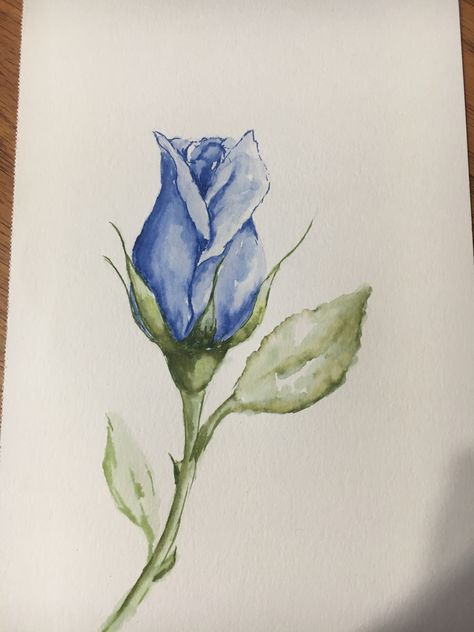 Blue Rose Drawing, Blue Rose Painting, Blue Rose Watercolor, Flower Diagram, Watercolor Painting Easy, Pencil Drawings Of Flowers, Rose Sketch, Blue Drawings, Roses Art